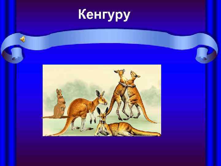Кенгуру 