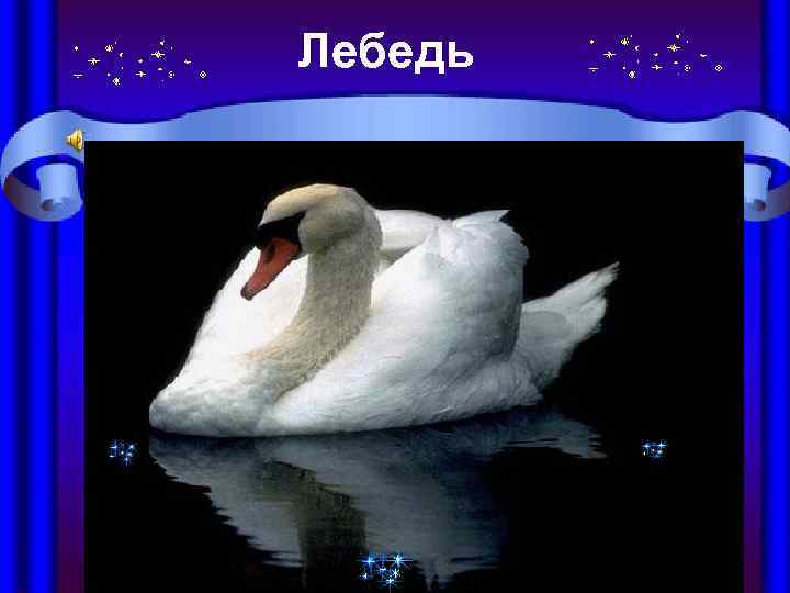 Лебедь Птичник 