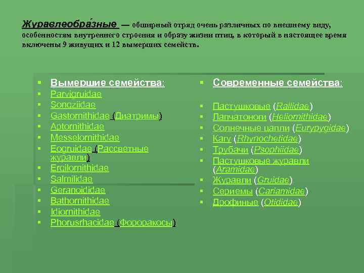 Журавлеобра зные — обширный отряд очень различных по внешнему виду, особенностям внутреннего строения и
