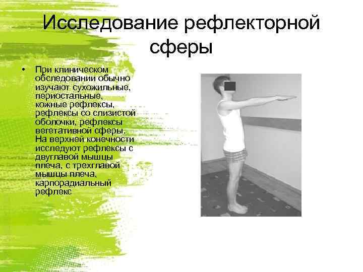  Исследование рефлекторной    сферы •  При клиническом обследовании обычно изучают