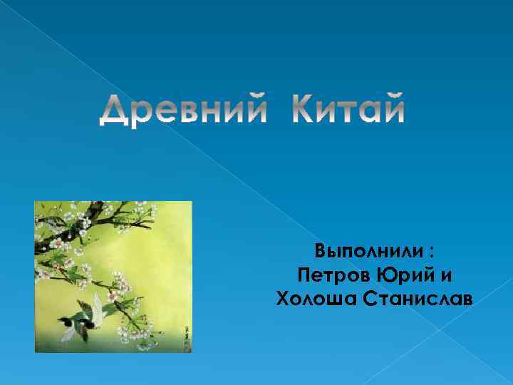   Выполнили :  Петров Юрий и Холоша Станислав 