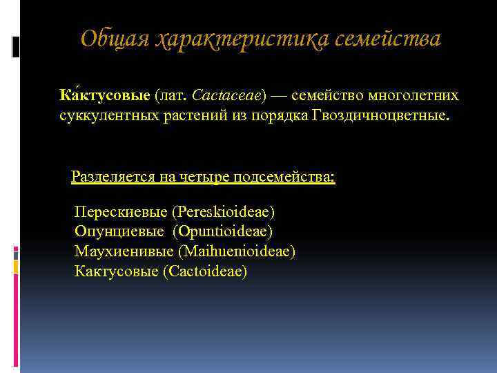 Общая характеристика семейства Ка ктусовые (лат. Cactaceae) — семейство многолетних суккулентных растений из Общая характеристика семейства Ка ктусовые (лат. Cactaceae) — семейство многолетних суккулентных растений из