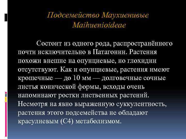 Подсемейство Маухиенивые Maihuenioideae Состоит из одного рода, Подсемейство Маухиенивые Maihuenioideae Состоит из одного рода,