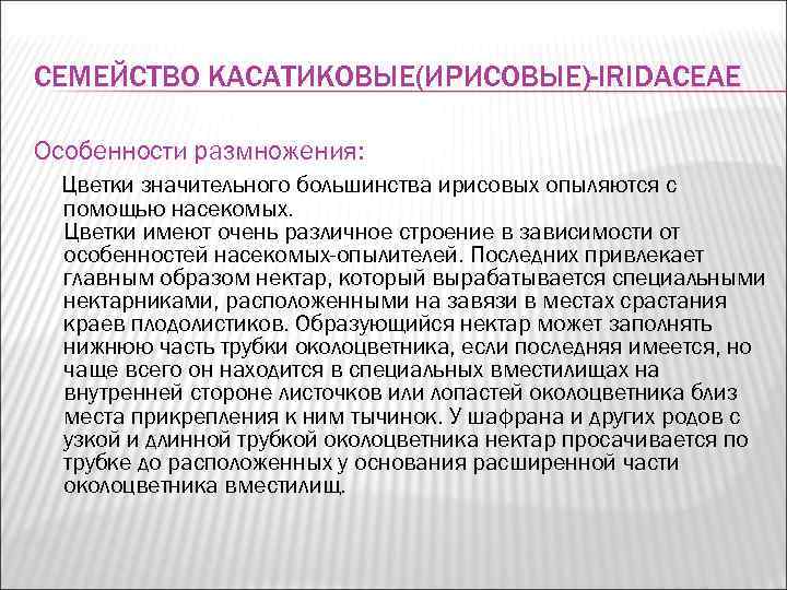 СЕМЕЙСТВО КАСАТИКОВЫЕ(ИРИСОВЫЕ)-IRIDACEAE Особенности размножения:  Цветки значительного большинства ирисовых опыляются с помощью насекомых. 