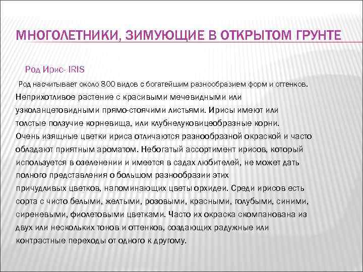 МНОГОЛЕТНИКИ, ЗИМУЮЩИЕ В ОТКРЫТОМ ГРУНТЕ  Род Ирис- IRIS Род насчитывает около 800 видов