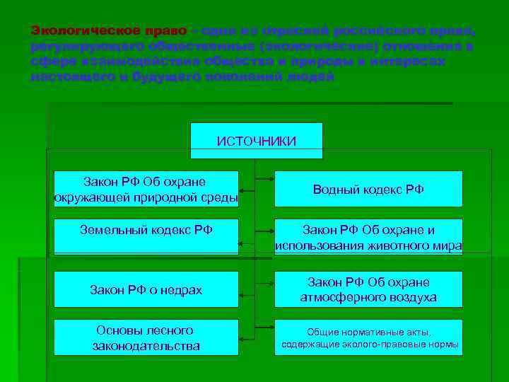 Экологическое право – одна из отраслей российского права, регулирующего общественные (экологические) отношения в сфере