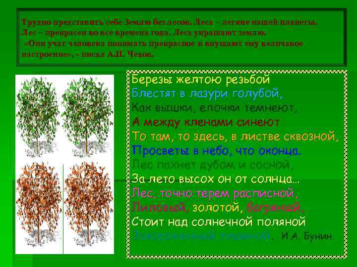 Трудно представить себе Землю без лесов. Леса – легкие нашей планеты. Лес – прекрасен