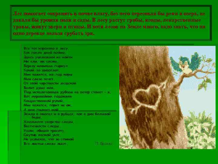 Лес помогает сохранять в почве влагу, без него пересохли бы реки и озера, не