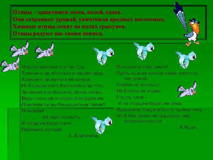 Птицы – защитники лесов, полей, садов. Они сохраняют урожай, уничтожая вредных насекомых. Хищные птицы