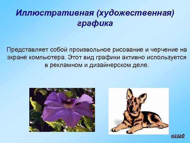  Иллюстративная (художественная)   графика  Представляет собой произвольное рисование и черчение на