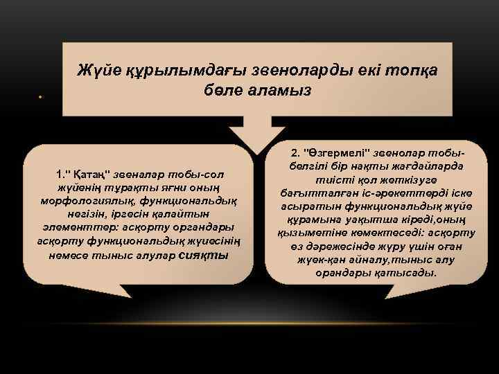  Жүйе құрылымдағы звеноларды екі топқа •   бөле аламыз   