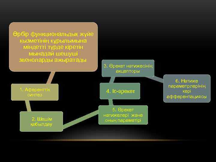 Әрбір функциональдық жүйе  • қызметінің құрылымына міндетті түрде кіретін  мынадай шешуші 