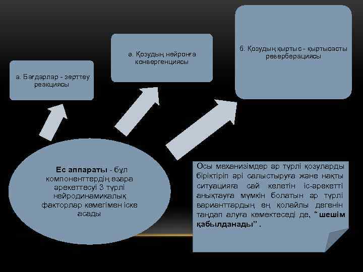      б. Қозудың қыртыс - қыртысасты    