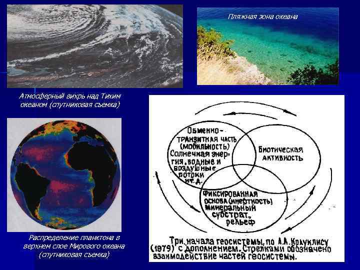 Пляжная зона океана Атмосферный вихрь над Тихим океаном (спутниковая съемка) Распределение планктона в верхнем