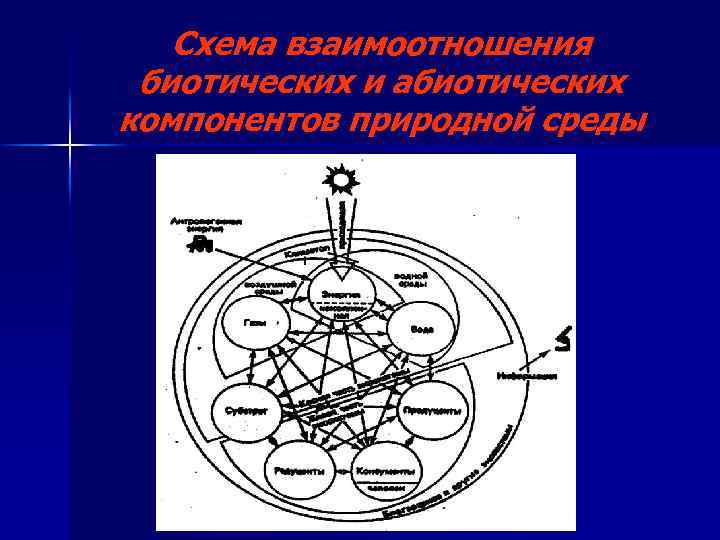 Схема взаимоотношения биотических и абиотических компонентов природной среды 