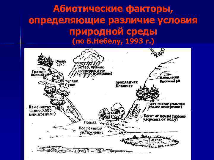 Абиотические факторы, определяющие различие условия природной среды (по Б. Небелу, 1993 г. ) 