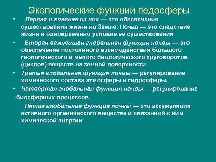  • Экологические функции педосферы Первая и главная из них — это обеспечение существования