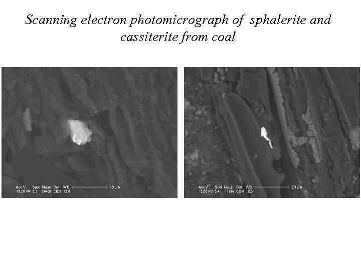 Scanning electron photomicrograph of sphalerite and cassiterite from coal 