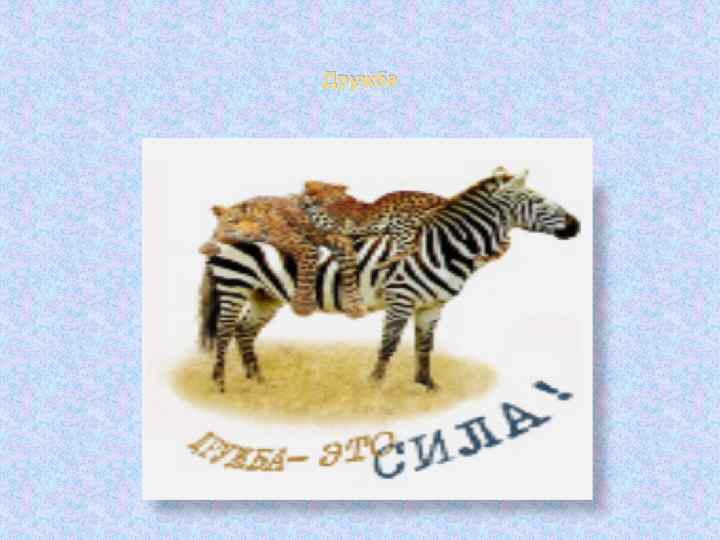 Дружба 