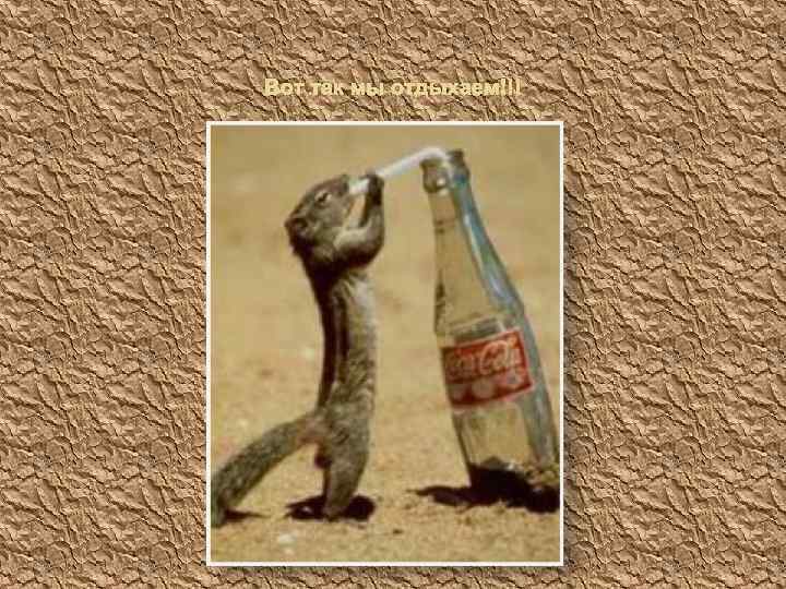 Вот так мы отдыхаем!!! 