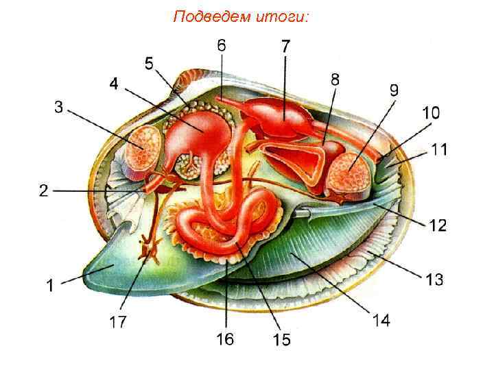 Подведем итоги: 