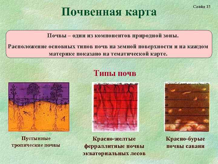      Слайд 15     Почвенная карта 