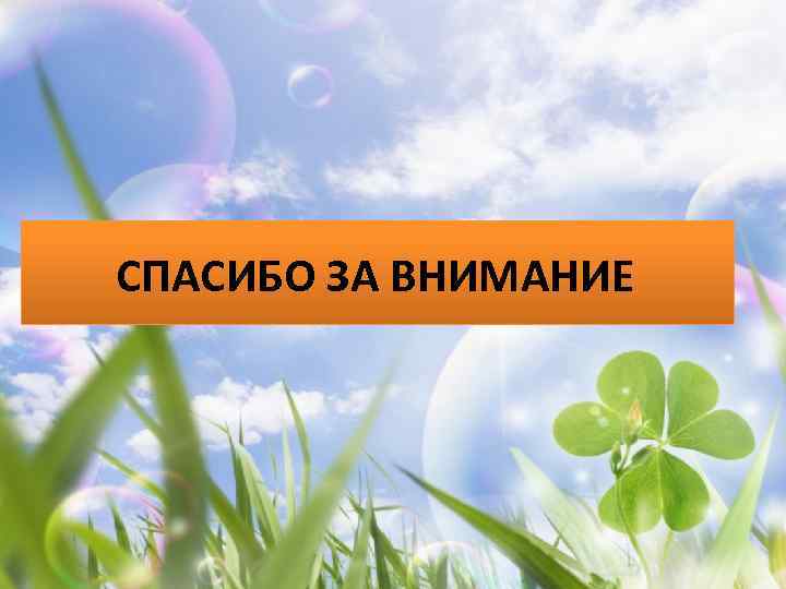 СПАСИБО ЗА ВНИМАНИЕ 