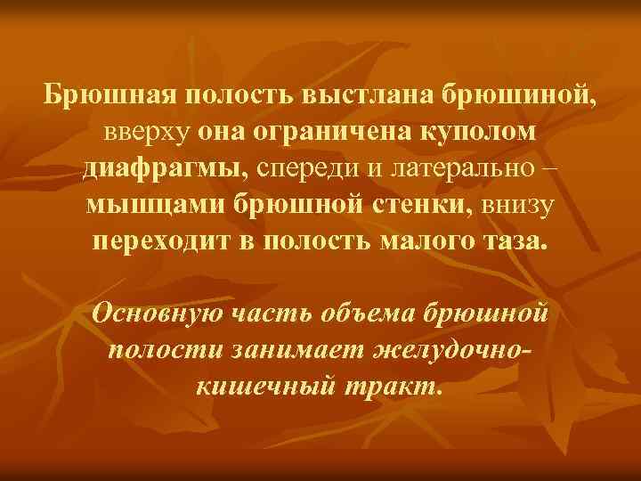 Брюшная полость выстлана брюшиной, вверху она ограничена куполом диафрагмы, спереди и латерально – мышцами