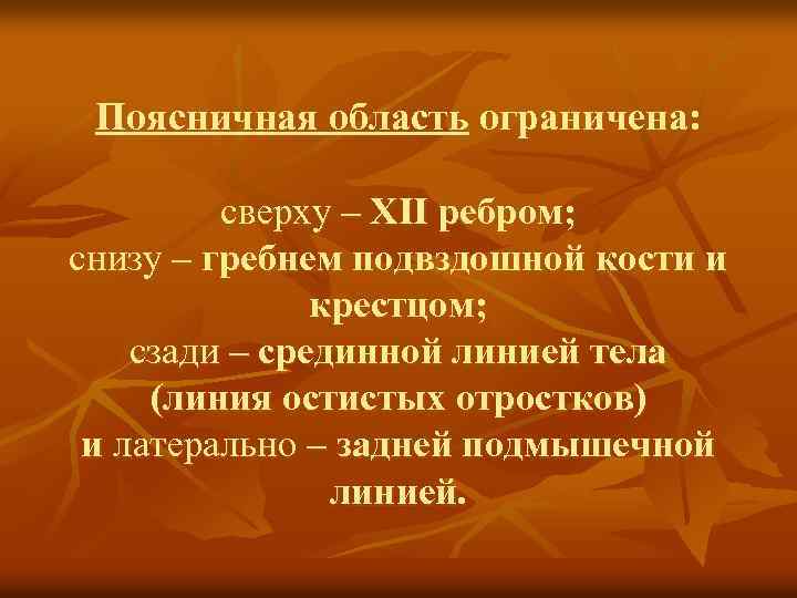Поясничная область ограничена: сверху – XII ребром; снизу – гребнем подвздошной кости и крестцом;