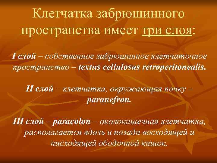 Клетчатка забрюшинного пространства имеет три слоя: I слой – собственное забрюшинное клетчаточное пространство –