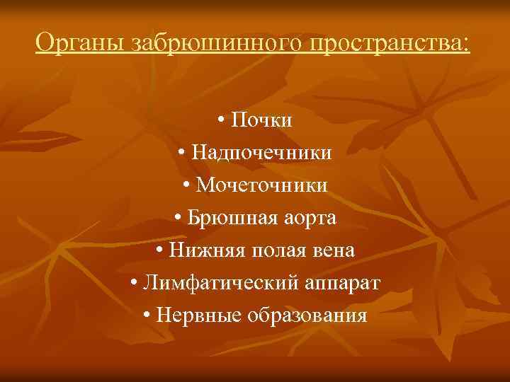 Органы забрюшинного пространства: • Почки • Надпочечники • Мочеточники • Брюшная аорта • Нижняя