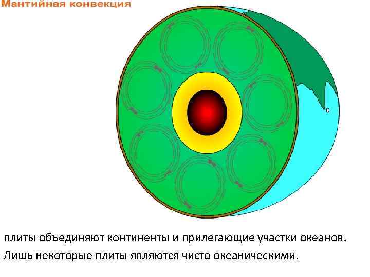 плиты объединяют континенты и прилегающие участки океанов. Лишь некоторые плиты являются чисто океаническими. 