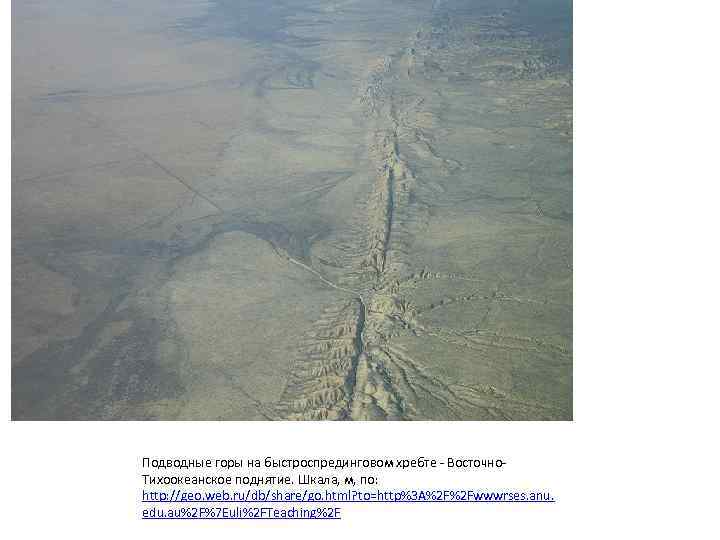 Подводные горы на быстроспрединговом хребте - Восточно- Тихоокеанское поднятие. Шкала, м, по: http: //geo.