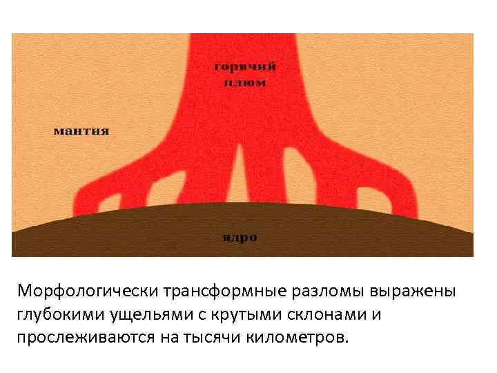 Морфологически трансформные разломы выражены глубокими ущельями с крутыми склонами и прослеживаются на тысячи километров.