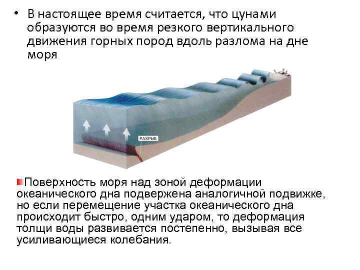  • В настоящее время считается, что цунами  образуются во время резкого вертикального