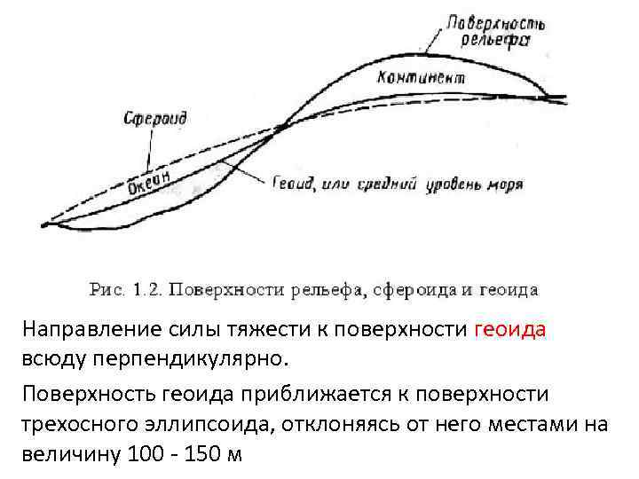 Направление силы тяжести к поверхности геоида всюду перпендикулярно.  Поверхность геоида приближается к поверхности