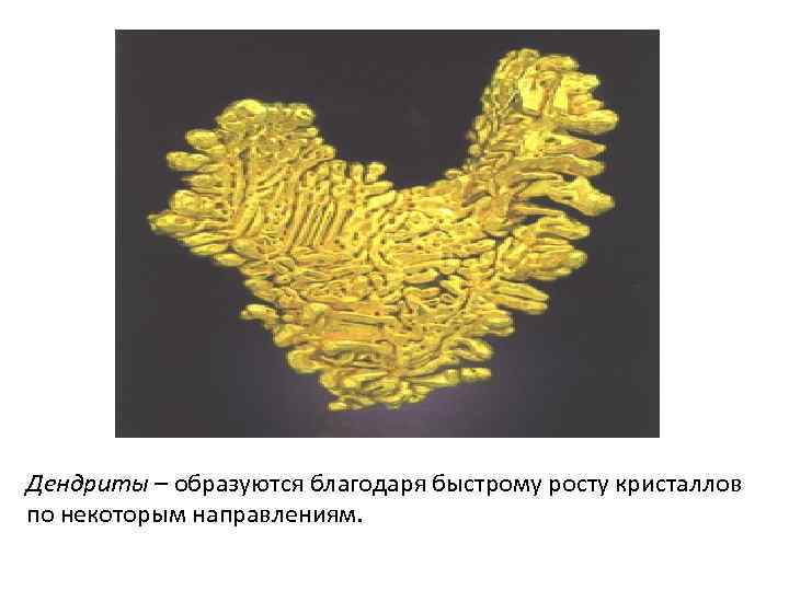Дендриты – образуются благодаря быстрому росту кристаллов по некоторым направлениям. 