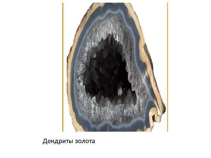 Дендриты золота 