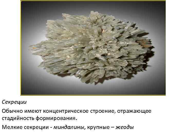 Секреции  Обычно имеют концентрическое строение, отражающее стадийность формирования.  Мелкие секреции - миндалины,