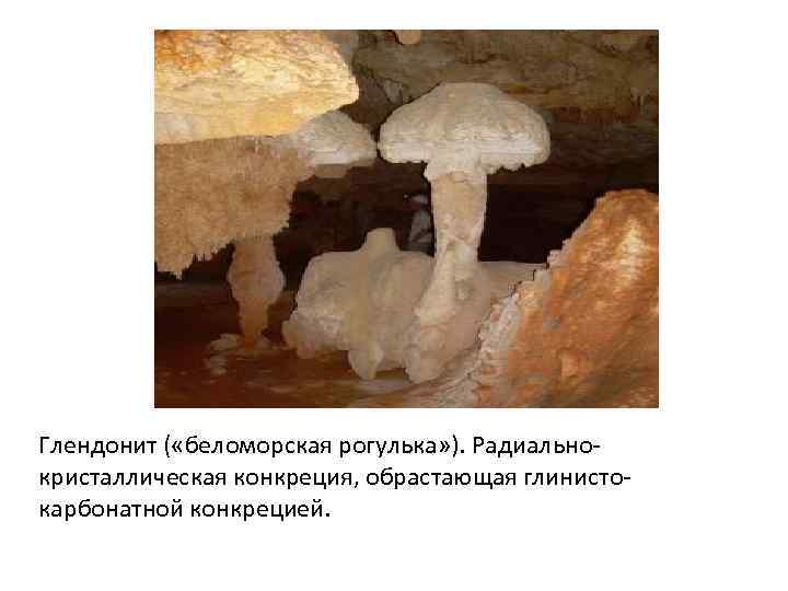 Глендонит ( «беломорская рогулька» ). Радиально- кристаллическая конкреция, обрастающая глинисто- карбонатной конкрецией.  