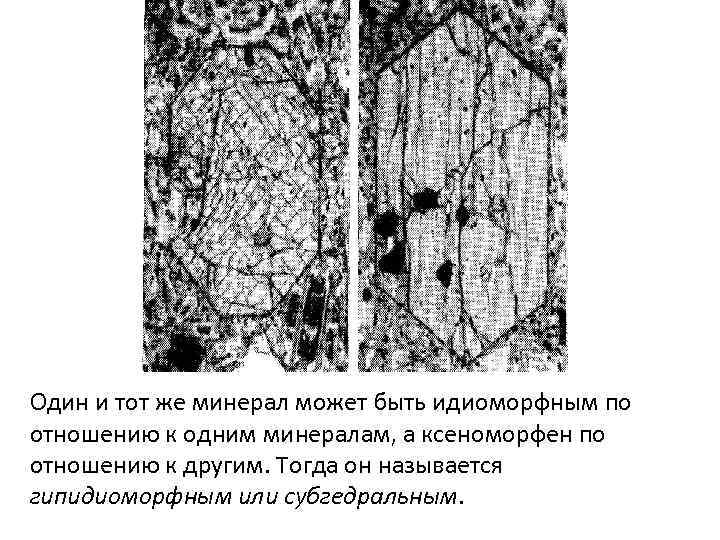 Один и тот же минерал может быть идиоморфным по отношению к одним минералам, а