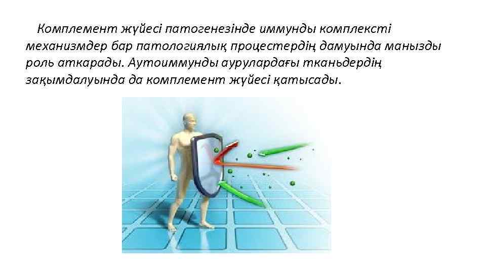  Комплемент жүйесі патогенезінде иммунды комплексті механизмдер бар патологиялық процестердің дамуында манызды роль аткарады.