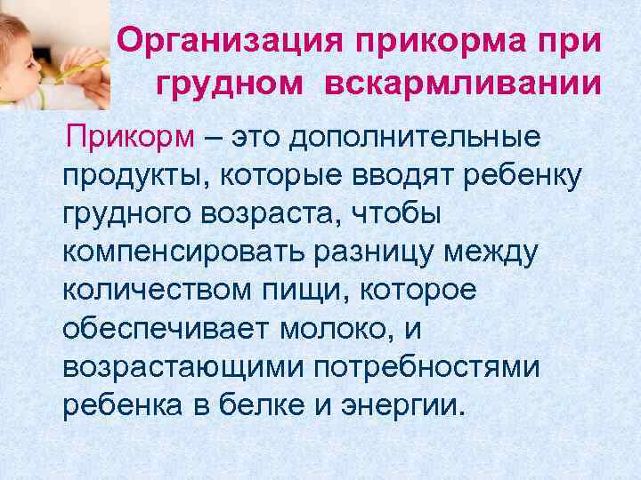 Организация прикорма при грудном вскармливании Прикорм – это дополнительные продукты, которые вводят ребенку грудного