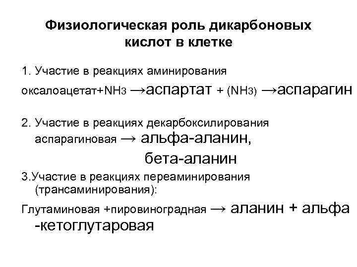 Физиологическая роль дикарбоновых кислот в клетке 1. Участие в реакциях аминирования оксалоацетат+NH 3 →аспартат