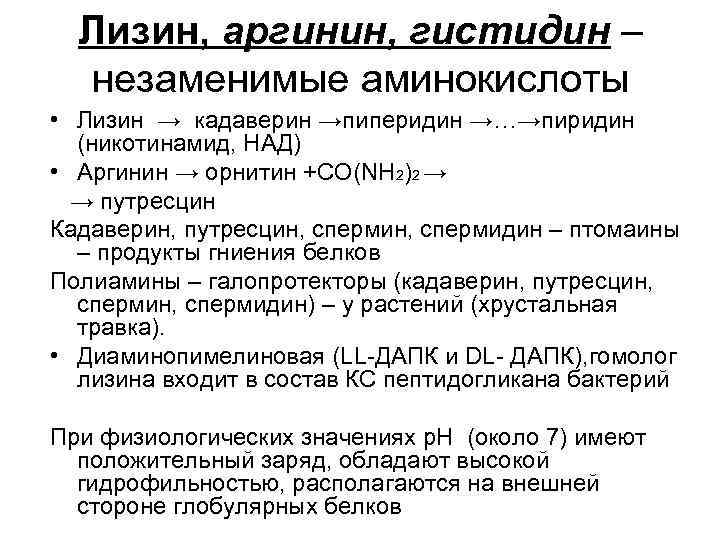 Лизин, аргинин, гистидин – незаменимые аминокислоты • Лизин → кадаверин →пиперидин →…→пиридин (никотинамид, НАД)