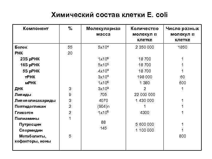 Химический состав клетки E. coli Компонент % Молекулярная масса Количество молекул в клетке Число
