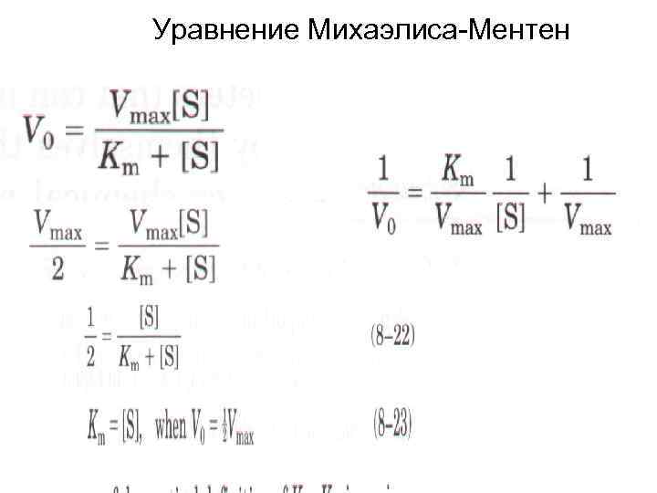 Уравнение Михаэлиса-Ментен 