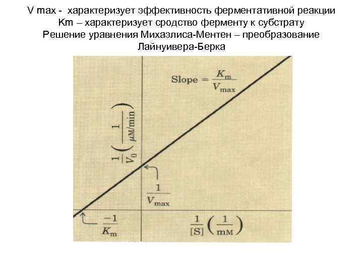 V max - характеризует эффективность ферментативной реакции Km – характеризует сродство ферменту к субстрату