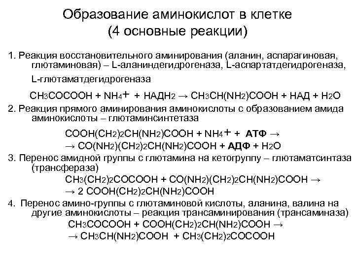 Синтез термины. Основные реакции синтеза аминокислот в клетке. Синтез аминокислот в клетке. Образование аминокислот. Реакции синтеза аминокислот в клетке.