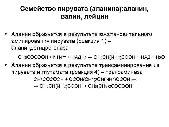 Семейство пирувата (аланина): аланин, валин, лейцин • Аланин образуется в результате восстановительного аминирования пирувата